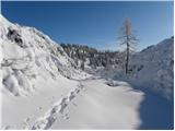 Koča pri Savici - Planina Lopučnica